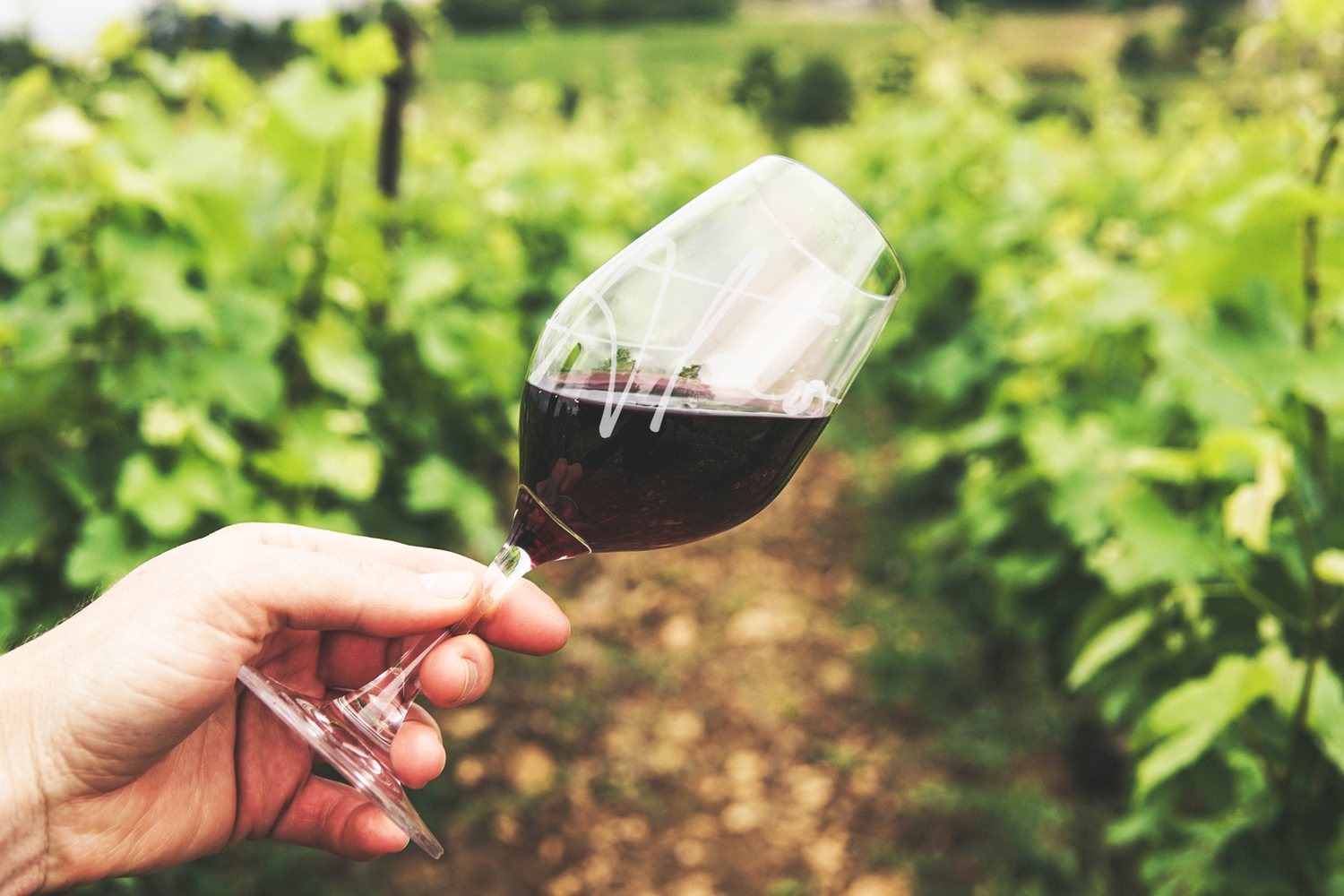 ATAO Wine — brand application