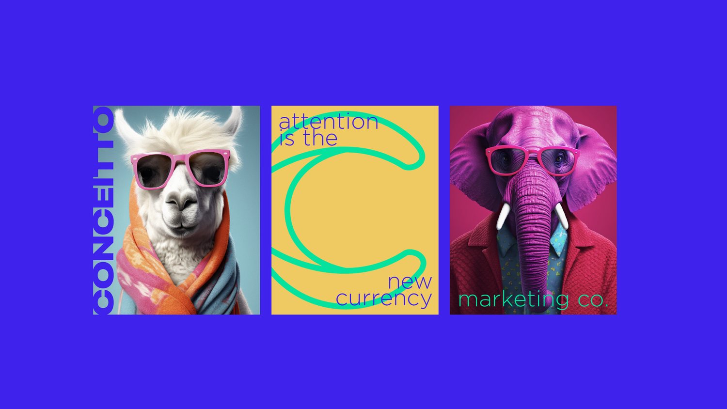 Conceitto — brand application