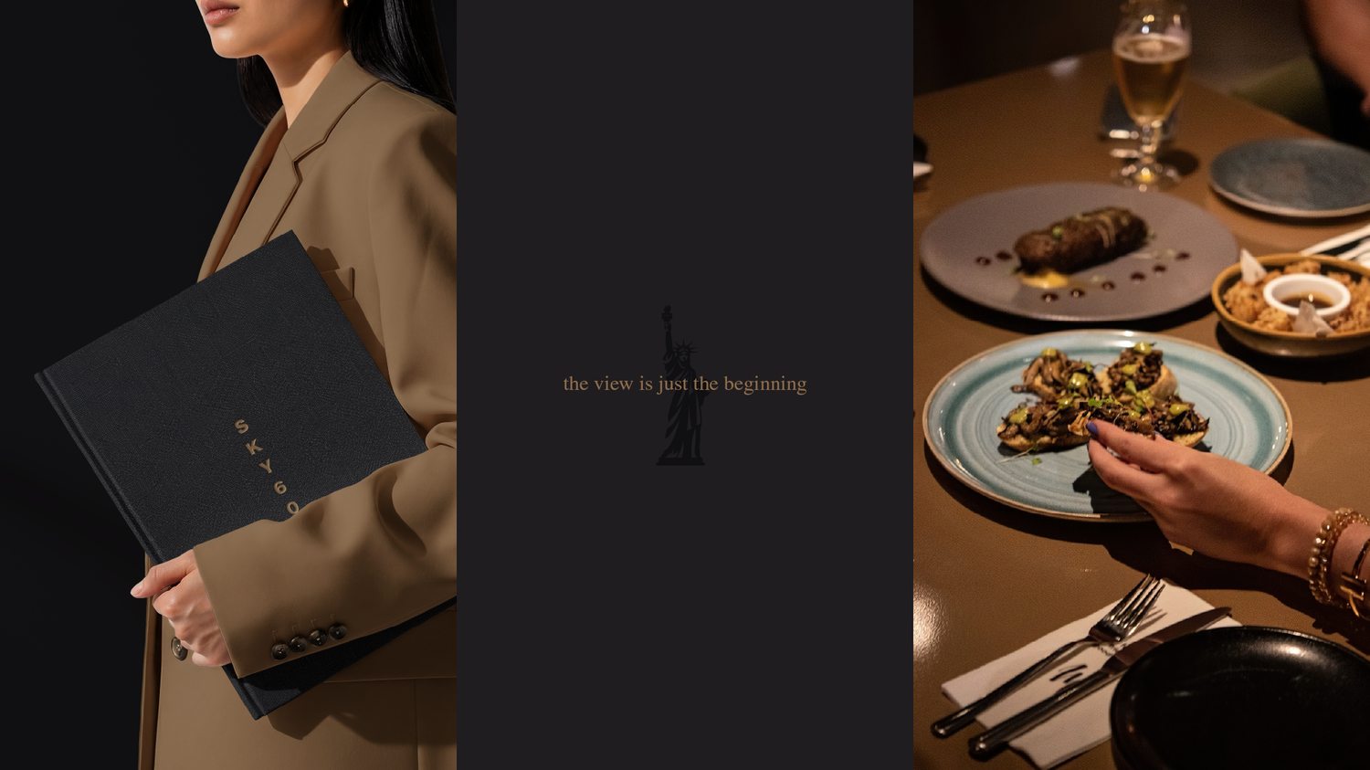 SKY605NYC — brand application